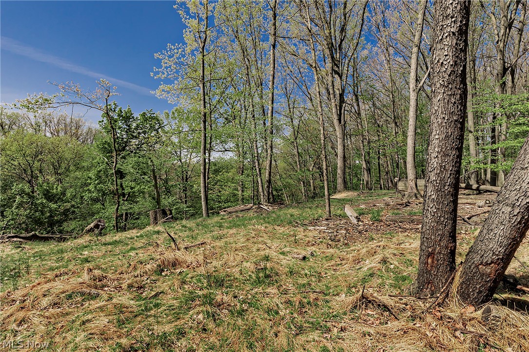 Village/Richmond Heights - Residential