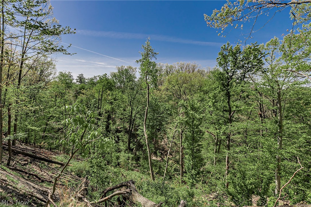 Village/Richmond Heights - Residential