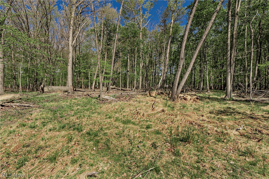 Village/Richmond Heights - Residential