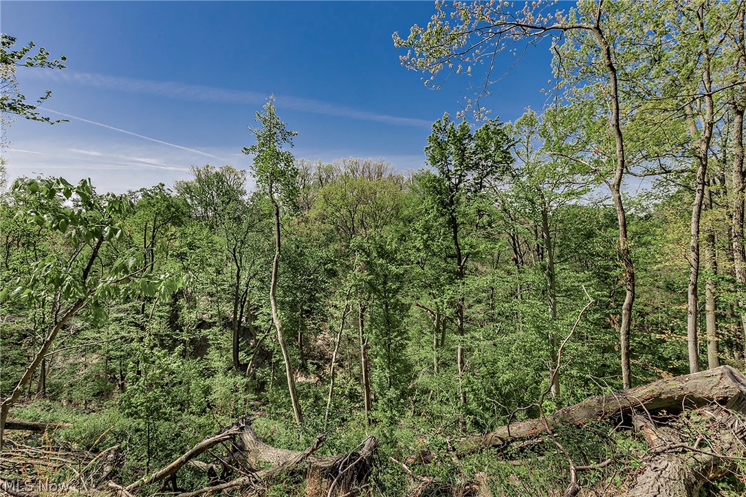 Village/Richmond Heights - Residential