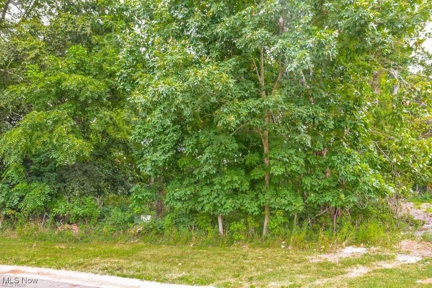 Build your dream home on .26 acres at the end of a cul de sac! Adjacent parcel # 05218109 also available for purchase.