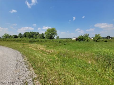 Vacant Land For Sale - 1503 Carum Place<br/> Ashland County, West Salem, OH 44287