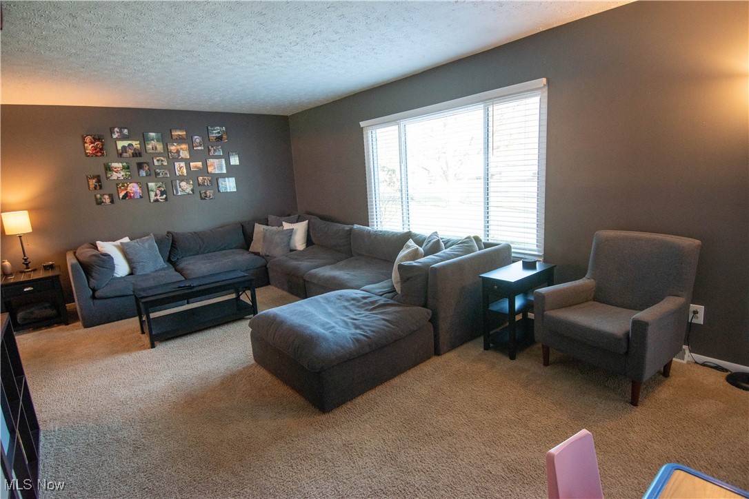 1200 Timbercrest Street, Youngstown, Ohio image 5