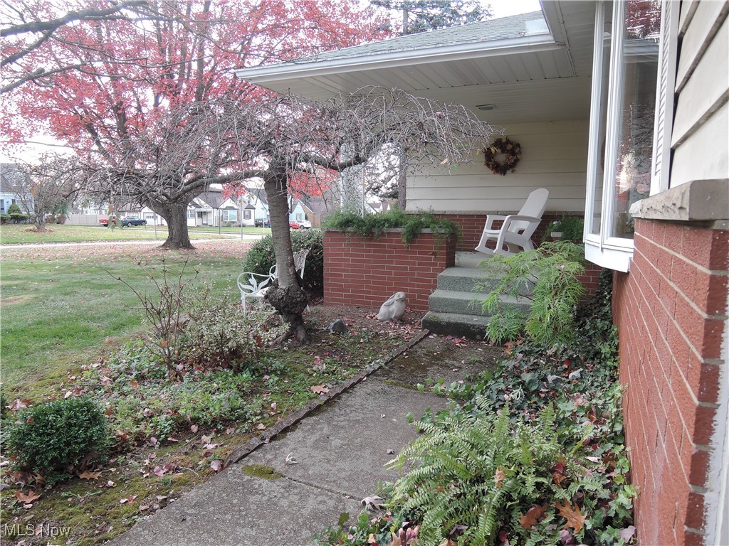 74 Buena Vista Ave, Youngstown, Ohio image 3