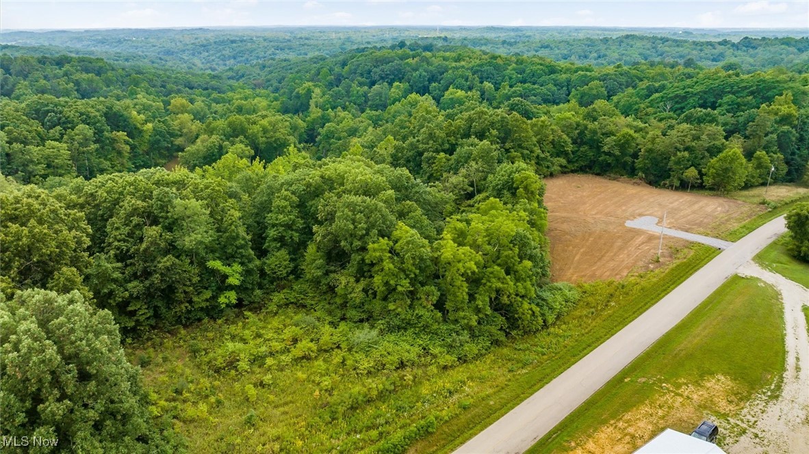 Portie Flamingo Road, Corning, Ohio image 15