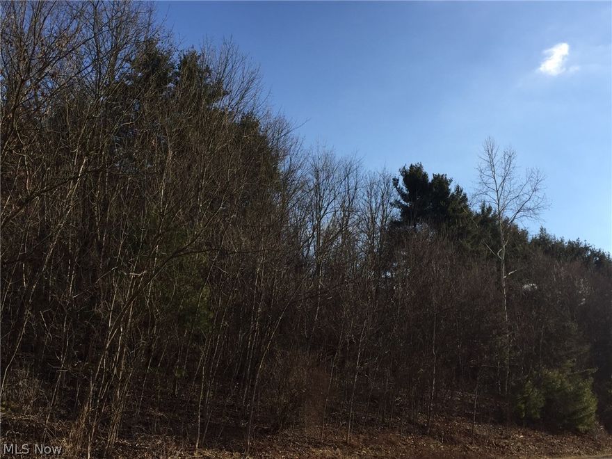 26.5 wooded acres in West Point area. Great for hunting or building a home in wooded area. Location with quick access to Route 11. Mineral rights included.