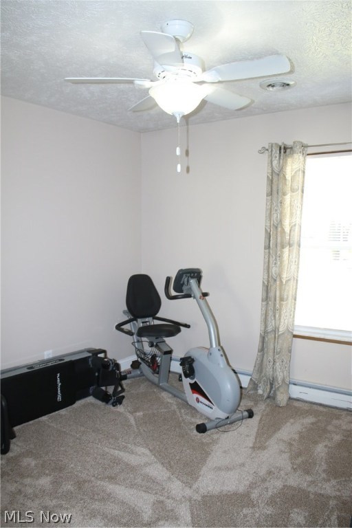 Mentor Garden Fwy Estates 03 13 - Residential