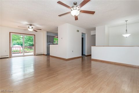 Tiny photo for 4671 Milford Dr. Dr, Perry, OH 44081 (MLS # 5190423)