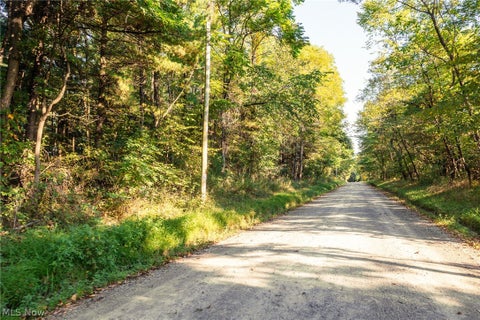 Vacant Land For Sale - 10772 Lawndell Road #9<br/> Navarre, OH 44662