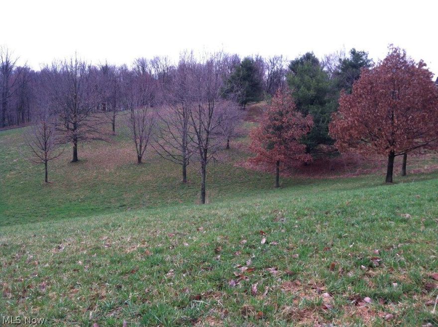 Beautiful country lot yet only 2 minutes to Sugarcreek.  Some nice trees, great views overlooking an area of nice newer homes and valley.  You will love this location and setting.