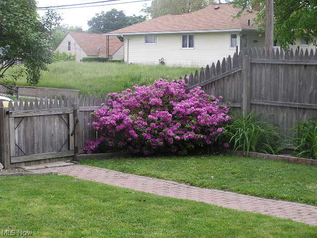 Collinwood - Residential