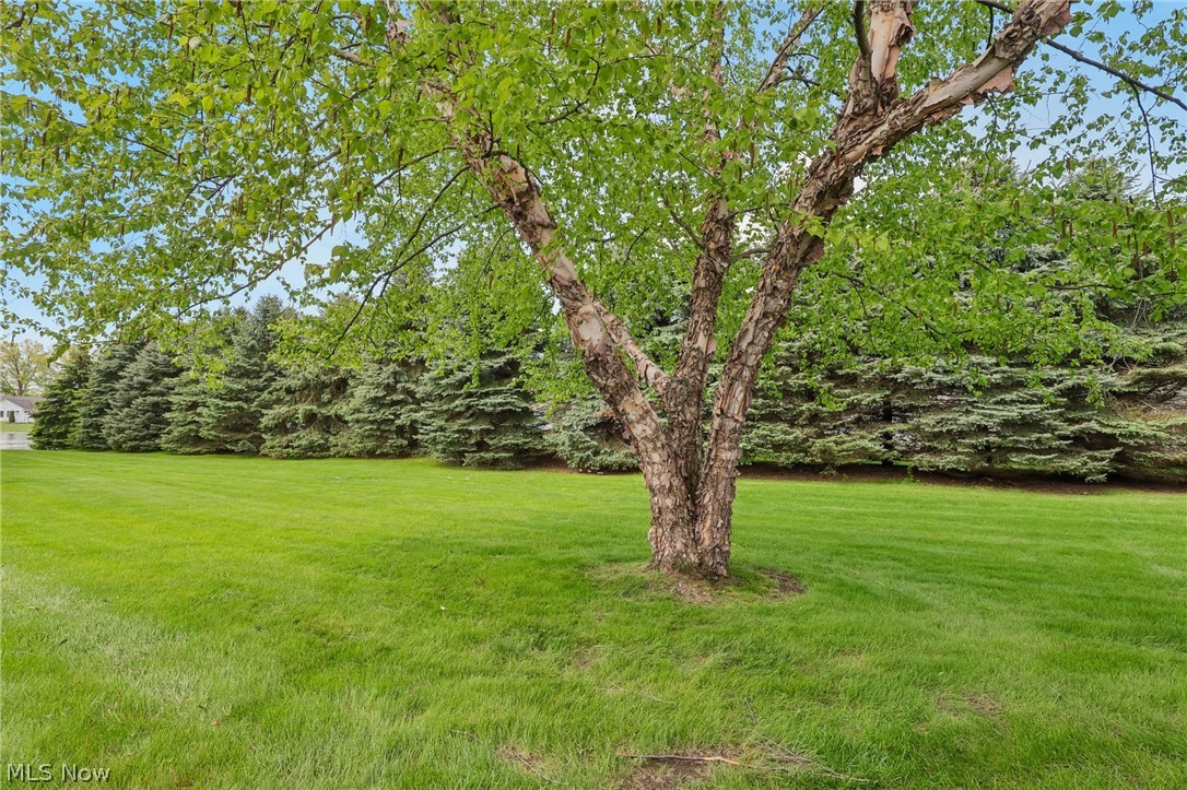 Lakefield Manor Condo - Residential