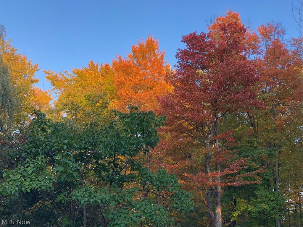 Thornhill Estate - Residential