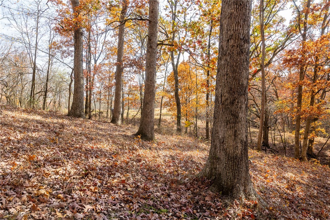 17062 Kedigh Hollow Road, Newcomerstown, Ohio image 13