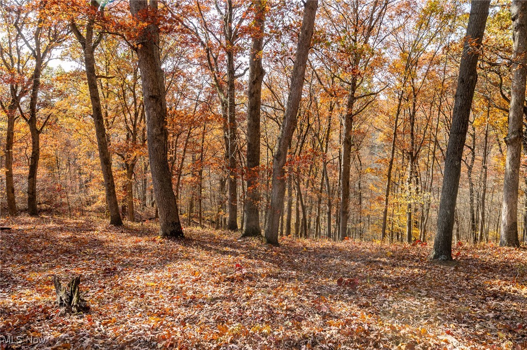 17062 Kedigh Hollow Road, Newcomerstown, Ohio image 14