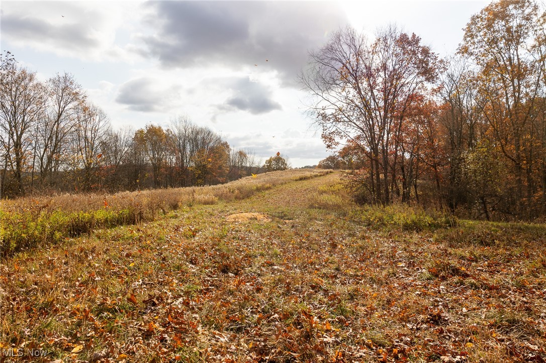 17062 Kedigh Hollow Road, Newcomerstown, Ohio image 10