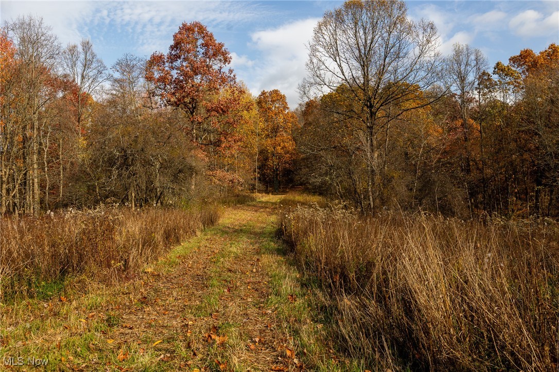 17062 Kedigh Hollow Road, Newcomerstown, Ohio image 16