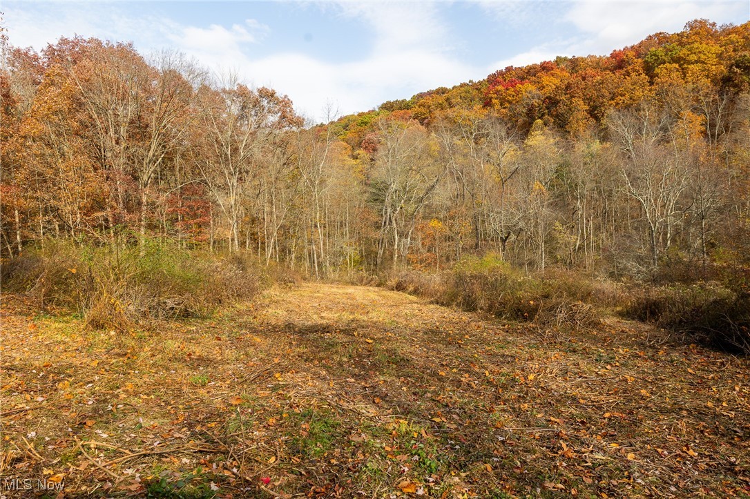 17062 Kedigh Hollow Road, Newcomerstown, Ohio image 8