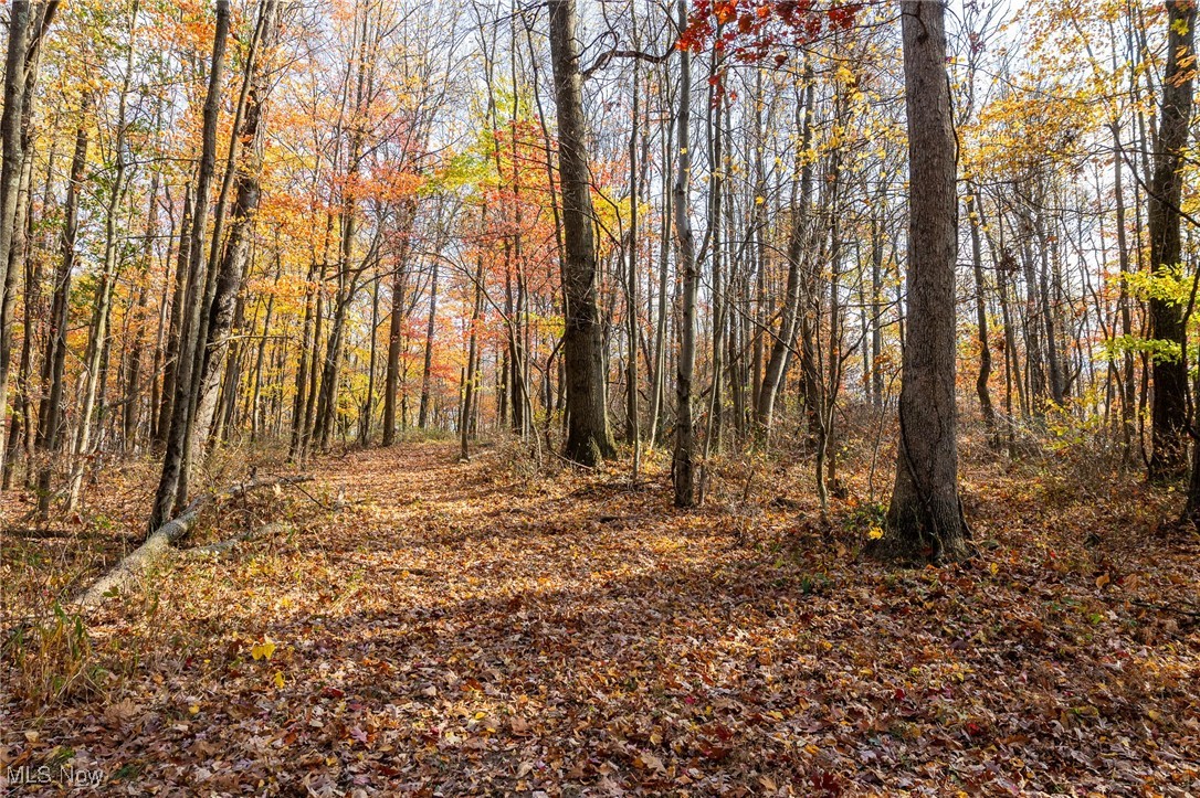 17062 Kedigh Hollow Road, Newcomerstown, Ohio image 4