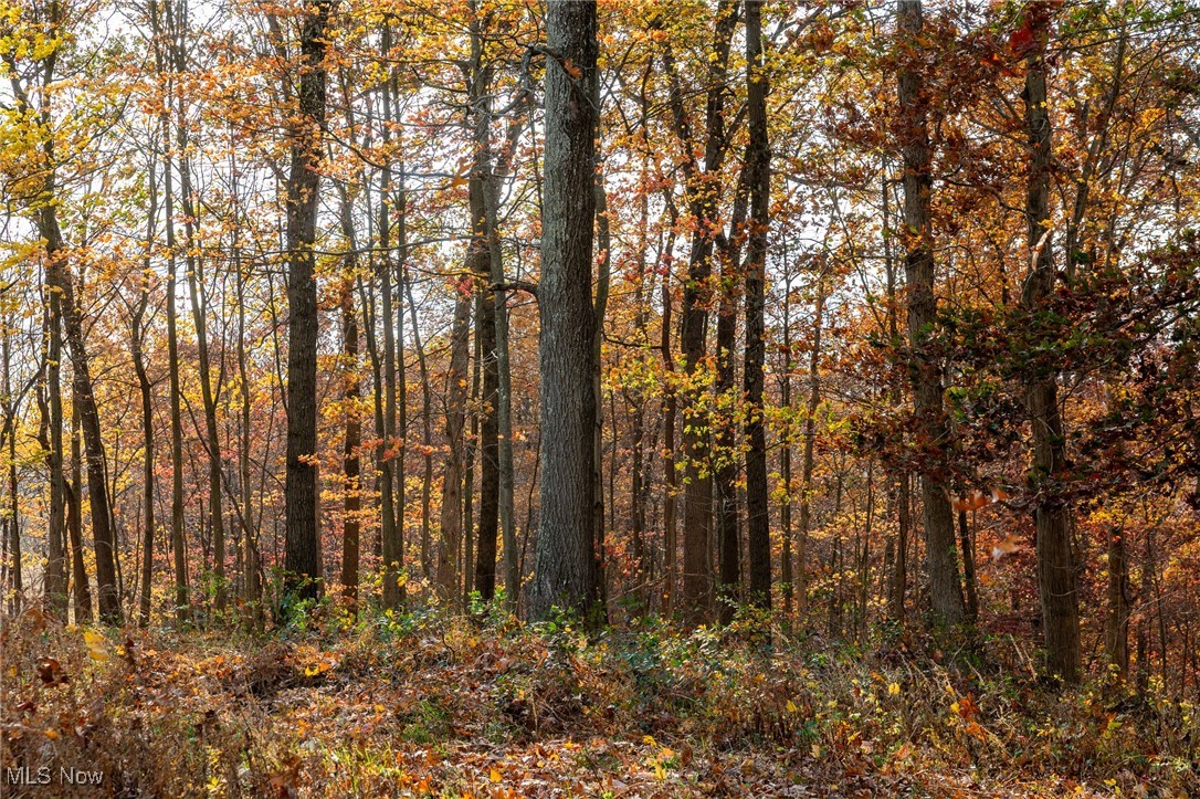 17062 Kedigh Hollow Road, Newcomerstown, Ohio image 7