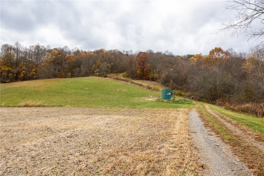 17062 Kedigh Hollow Road, Newcomerstown, Ohio image 15