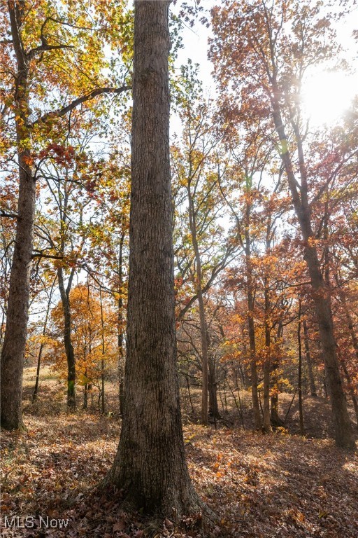 17062 Kedigh Hollow Road, Newcomerstown, Ohio image 12