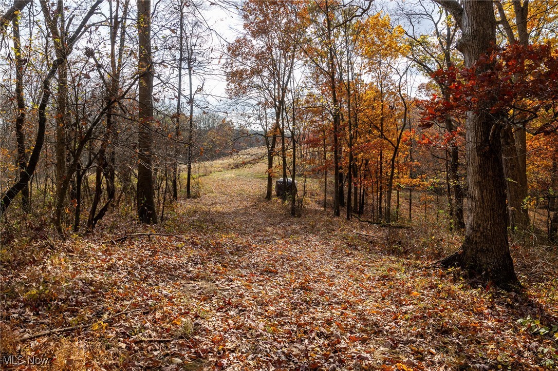 17062 Kedigh Hollow Road, Newcomerstown, Ohio image 9