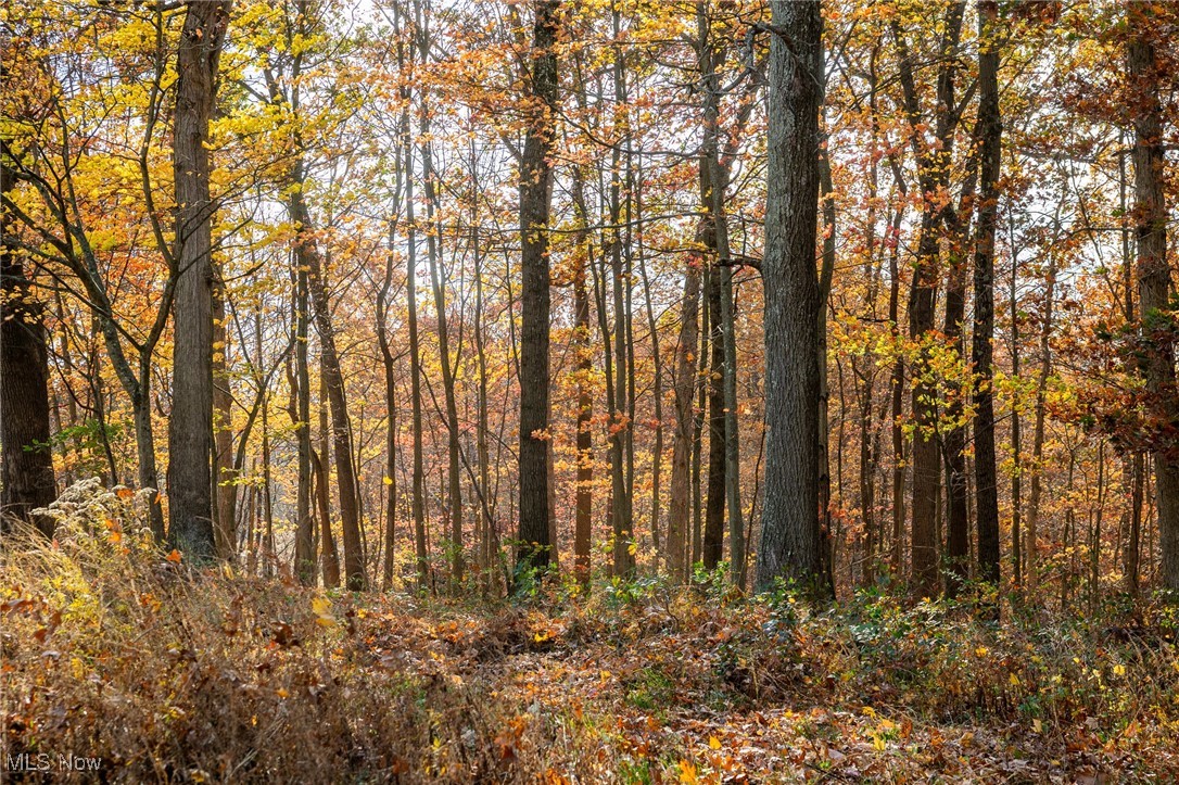 17062 Kedigh Hollow Road, Newcomerstown, Ohio image 6