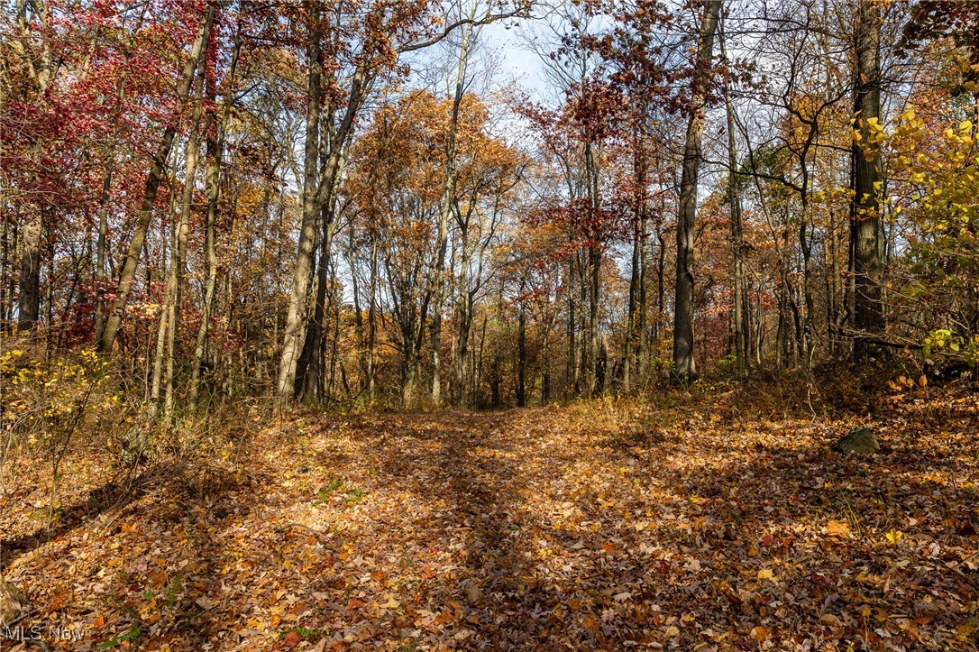 17062 Kedigh Hollow Road, Newcomerstown, Ohio image 1