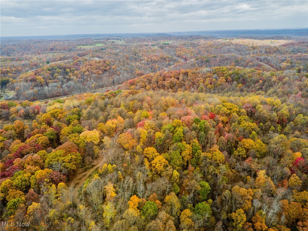 17062 Kedigh Hollow Road, Newcomerstown, Ohio image 29