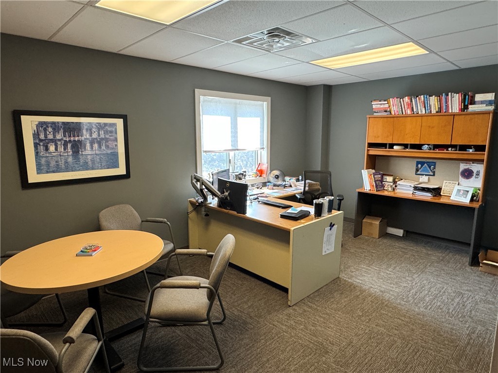 Bloom & Long - Commercial Lease