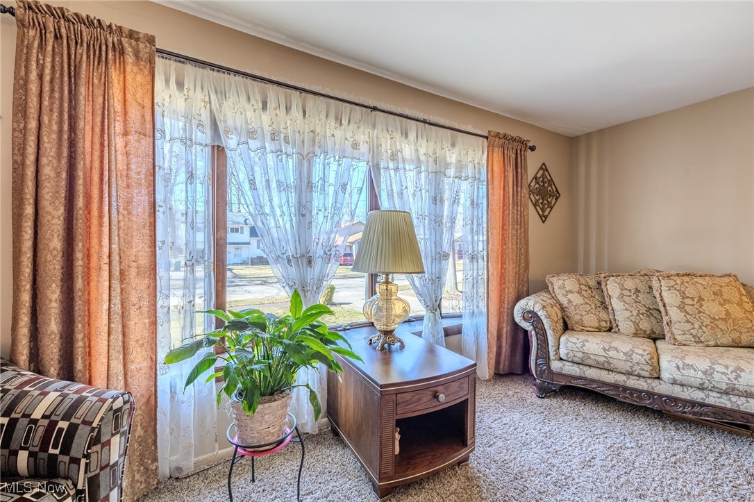 1617 Luanna Drive, Eastlake, Ohio image 10