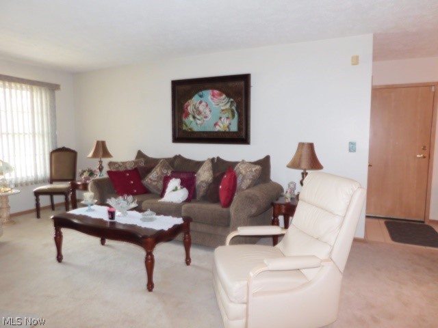 Plum Creek Condos - Residential