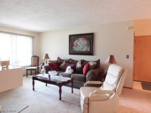 Plum Creek Condos - Residential