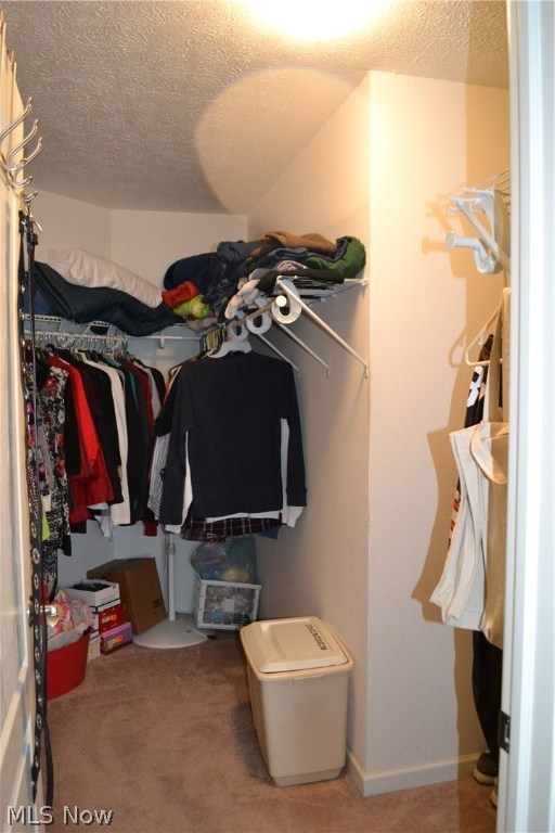 Arbors Bridgewater Crossing - Residential