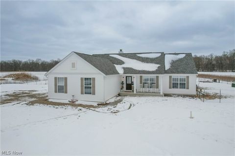 Tiny photo for 800 Martin Road, Mogadore, OH 44260 (MLS # 5186497)