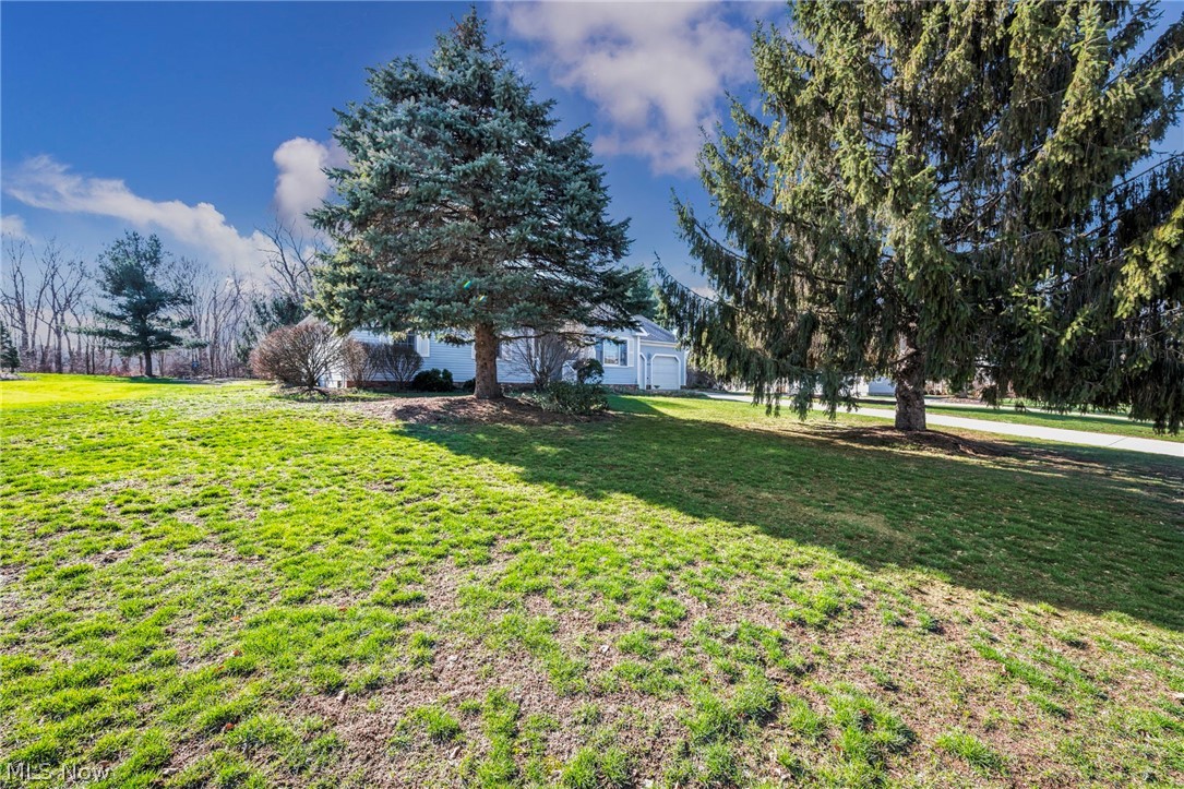 Whalers Cove 2-B - Residential