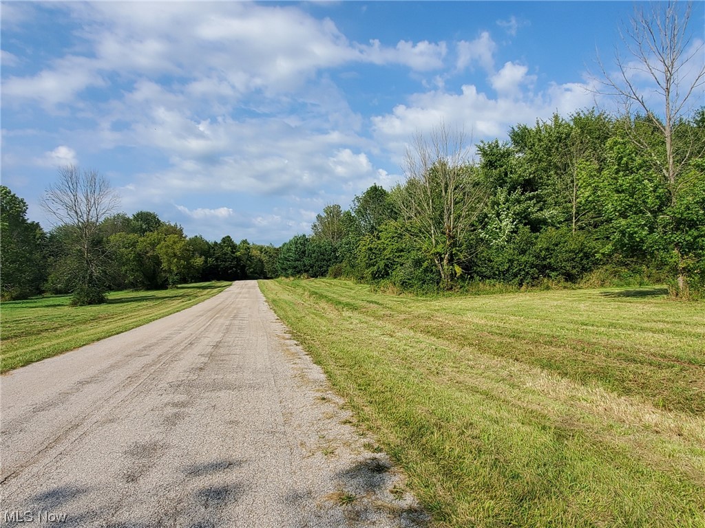 Can't seem to find the right home on the market right now? I have the solution for you to build your own dream home! Bring your own designs and pick a lot! There are 4 to choose from now. One is located on the corner of Brown Rd and Weimer Rd with almost an acre of land. Electrical has been run underground to all lots. The corner lot is the perfect location to tie right into the city water and gas line which is located feet away. You can still tie into city water from other lots just pricing will vary for the tie in. Septic has been approved by the health dept already with information available from them. There are two lots that are approx. 1.40 acres and the third is just over 2 acres. Live outside the city and enjoy the wildlife but still be close to so many amenities. Located in Saybrook Twp you're close to I90, Wineries, shopping and so much more. Don't miss out on building your dream home.