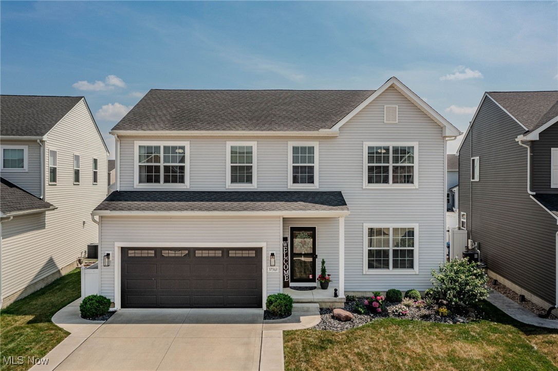 37363 Yellow Beak Lane