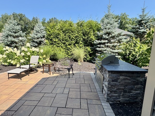 Preserve/Yellow Crk 1 - Residential