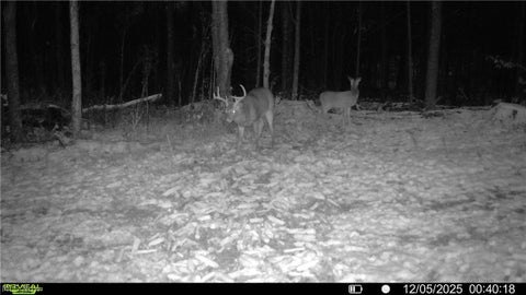 Tiny photo for Spence Hill Rd, Caldwell, OH 43724 (MLS # 5241444)