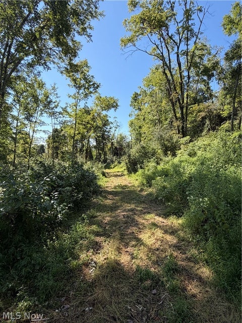 Tiny photo for Spence Hill Rd, Caldwell, OH 43724 (MLS # 5241444)