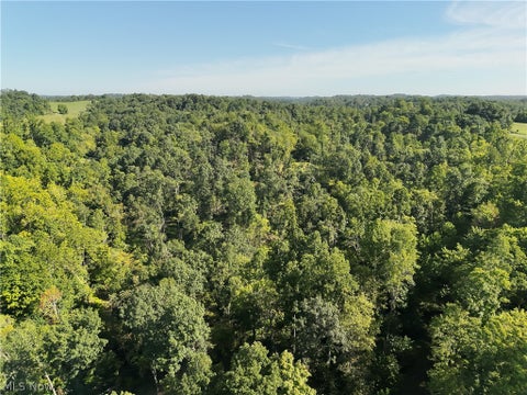 Tiny photo for Spence Hill Rd, Caldwell, OH 43724 (MLS # 5241444)