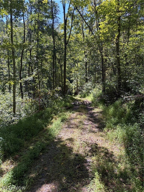 Tiny photo for Spence Hill Rd, Caldwell, OH 43724 (MLS # 5241444)