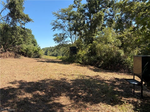 Tiny photo for Spence Hill Rd, Caldwell, OH 43724 (MLS # 5241444)