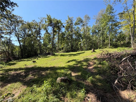 Tiny photo for Spence Hill Rd, Caldwell, OH 43724 (MLS # 5241444)