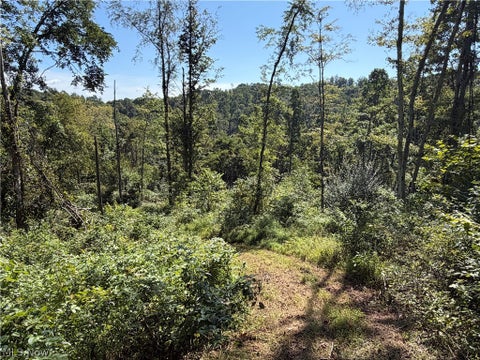 Tiny photo for Spence Hill Rd, Caldwell, OH 43724 (MLS # 5241444)