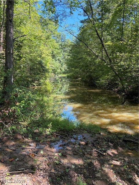 Tiny photo for Spence Hill Rd, Caldwell, OH 43724 (MLS # 5241444)