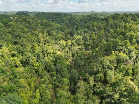 Tiny photo for Spence Hill Rd, Caldwell, OH 43724 (MLS # 5241444)