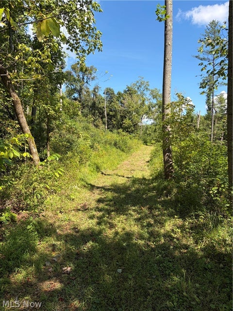 Tiny photo for Spence Hill Rd, Caldwell, OH 43724 (MLS # 5241444)